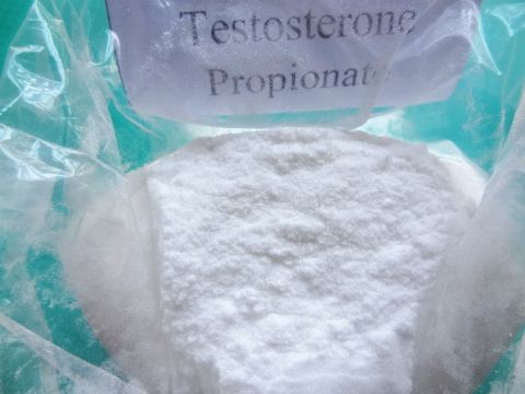 Testosterone Propionate  